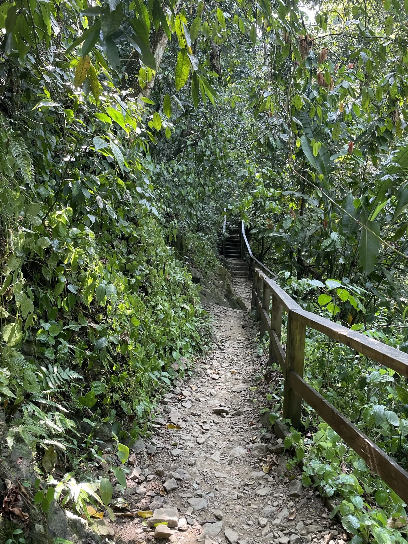 Waterfall in Bonao and Hiking, image 4 of 6