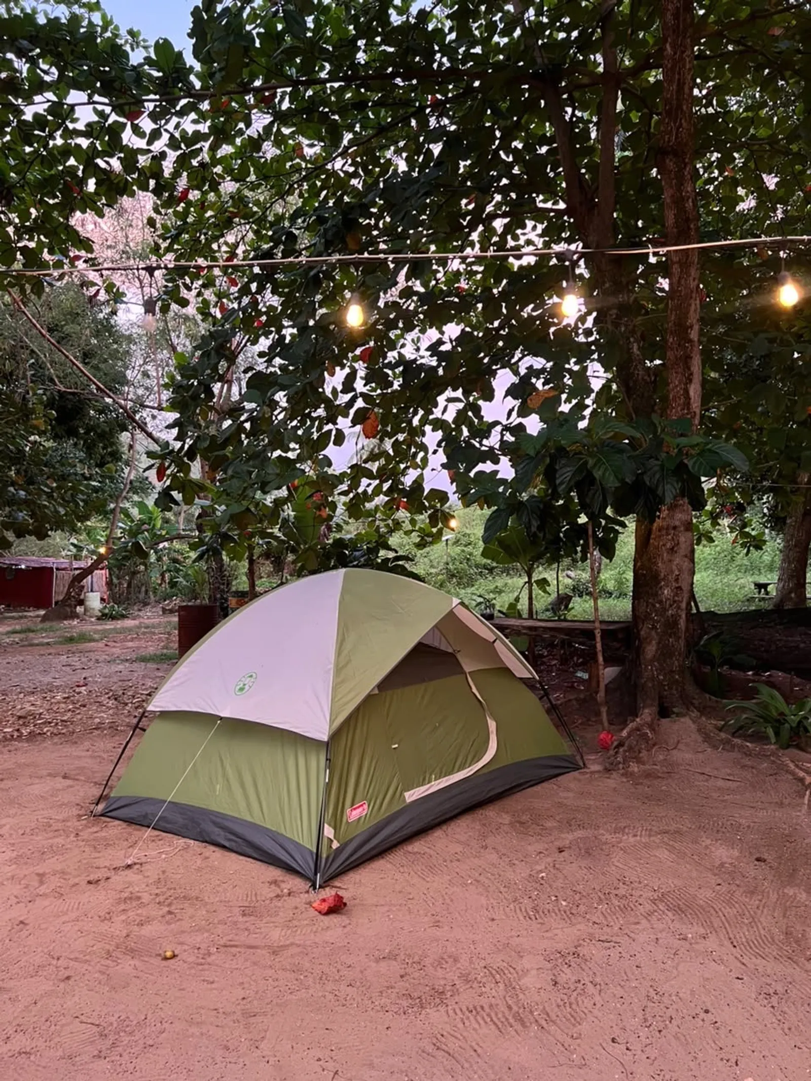 Camping at El Valle Beach, Samaná, image 3 of 3