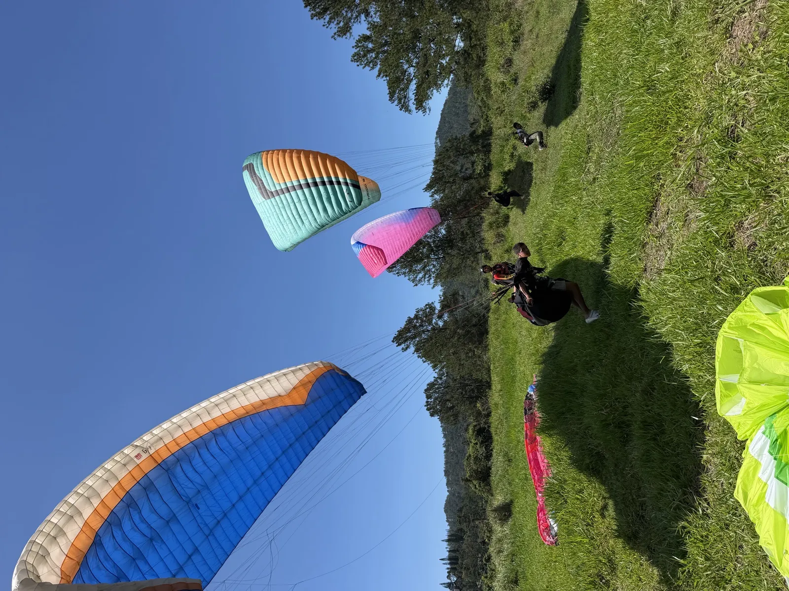 Paragliding! An adventure from the sky in Jarabacoa, image 8 of 14