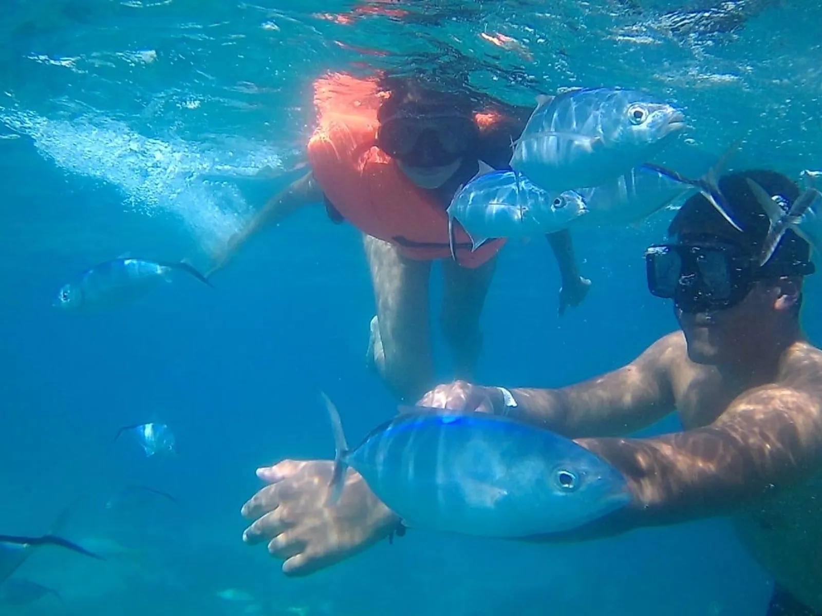 Discover Catalina Island from Bayahibe, image 6 of 16