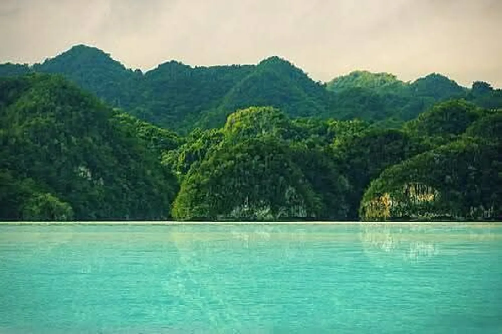Los Haitises National Park and Cayo Levantado, image 4 of 15