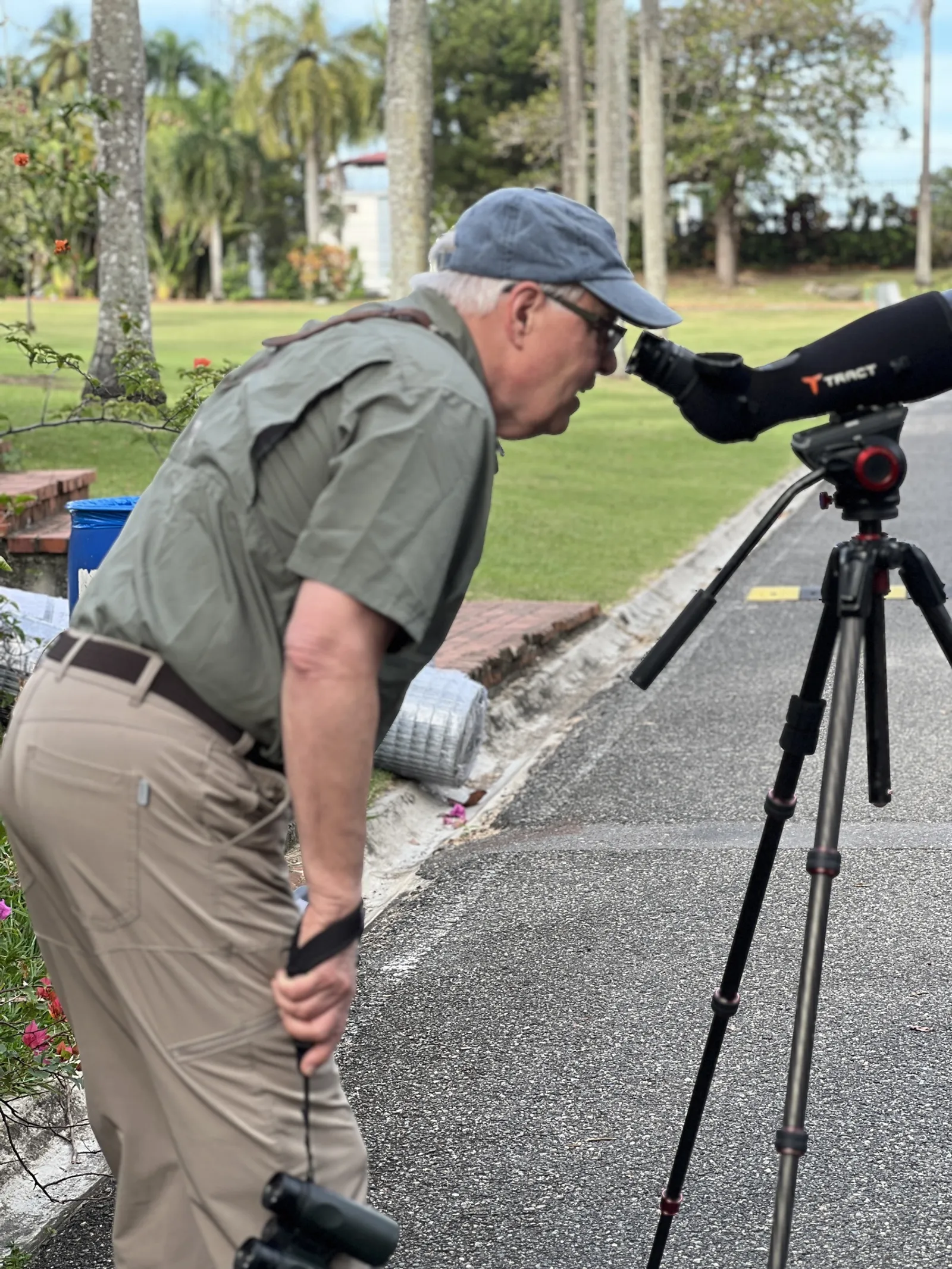 Birdwatching in the Dominican Republic: A Unique Nature Experience, image 25 of 39