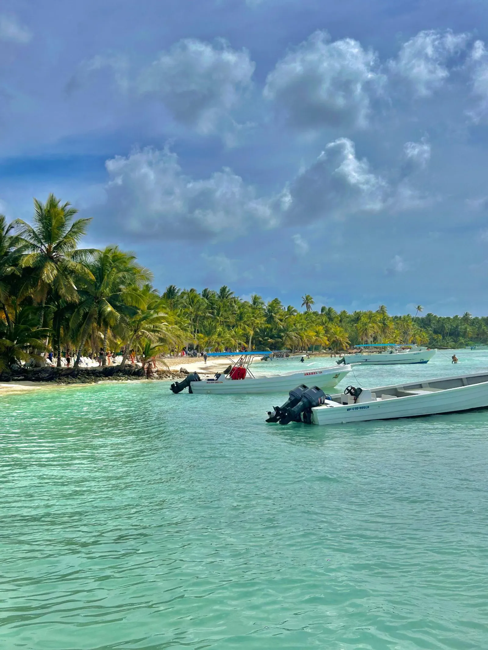Saona Island, image 6 of 14