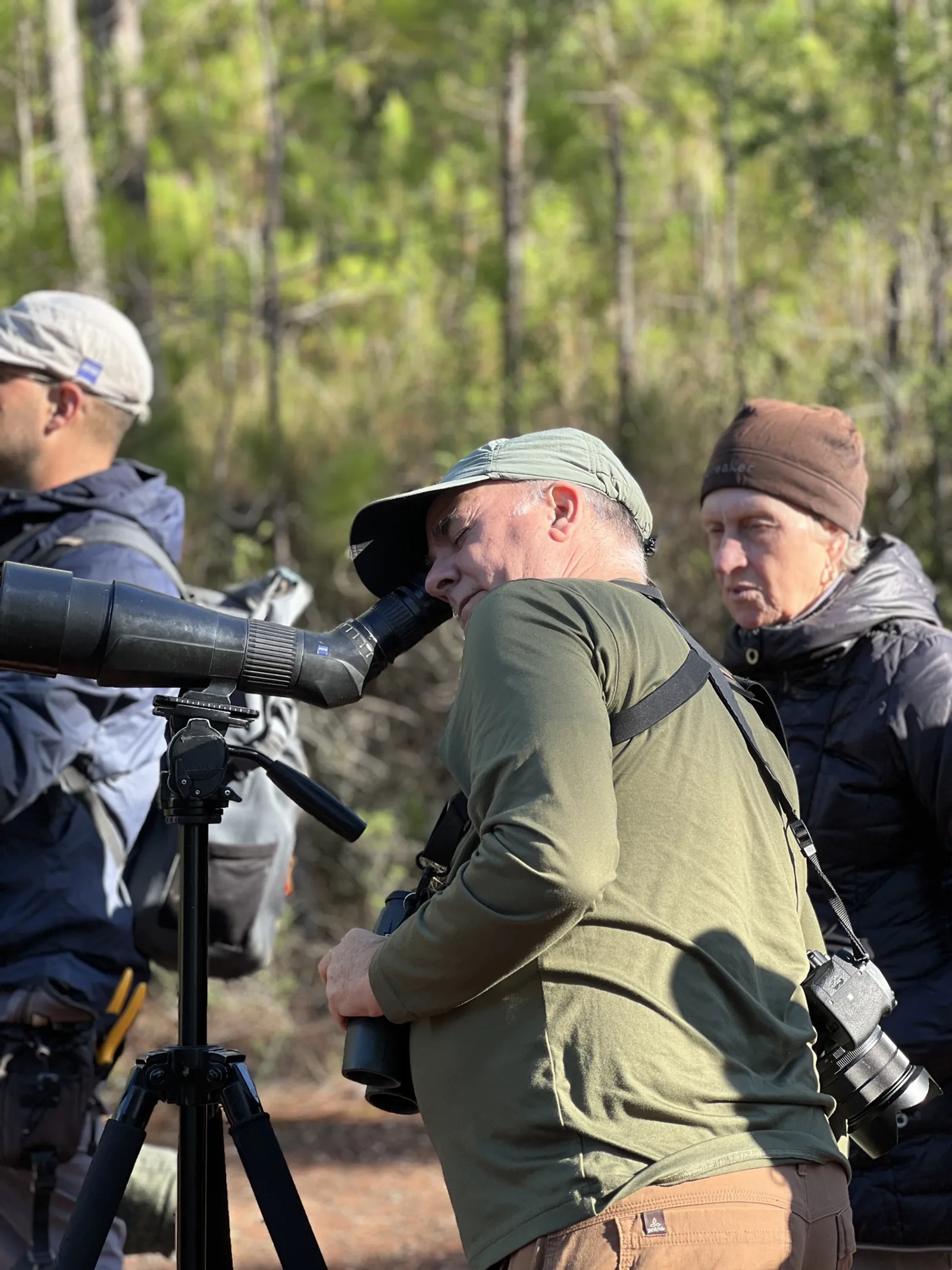 Birdwatching in the Dominican Republic: A Unique Nature Experience, image 34 of 39