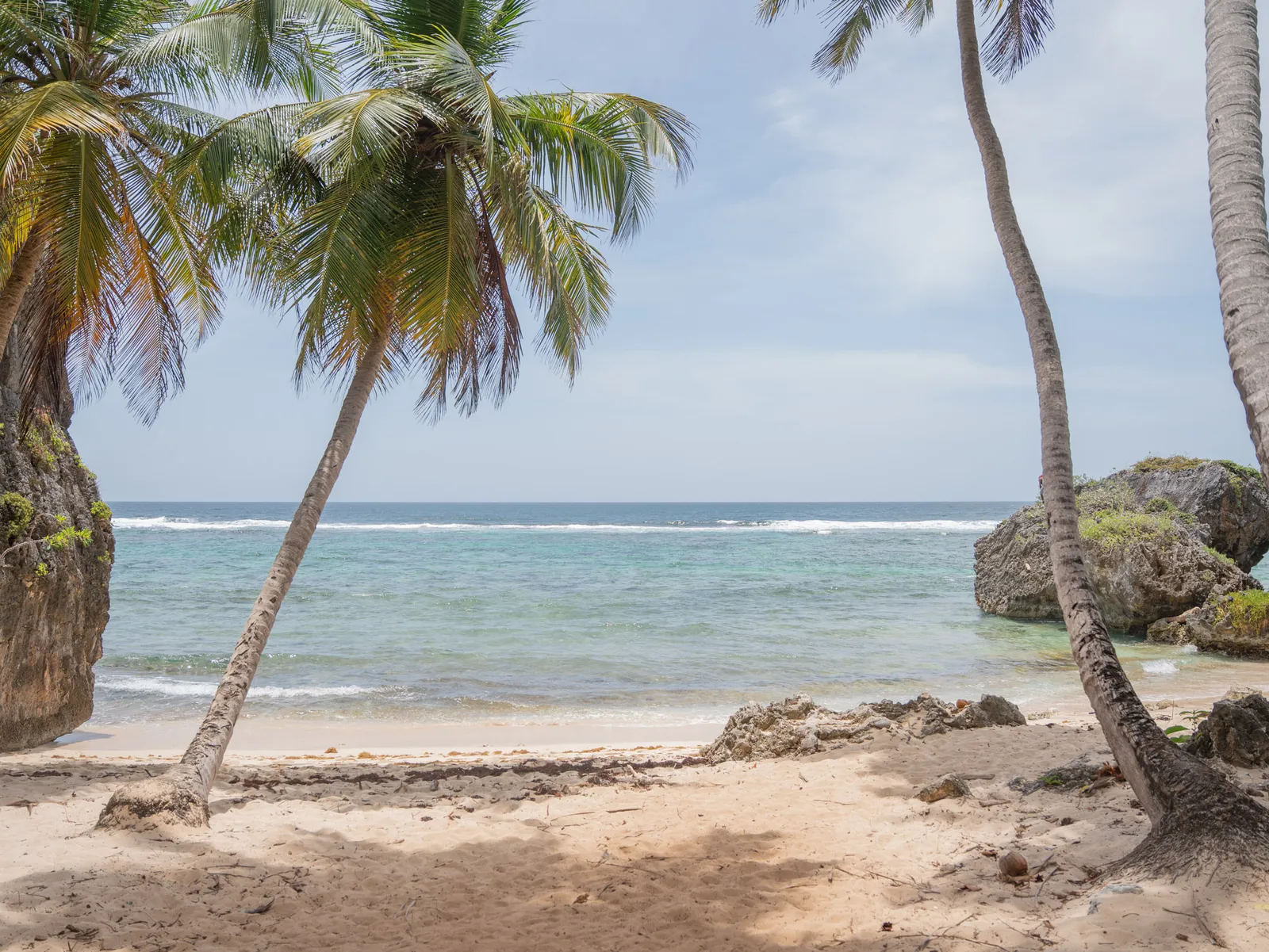 🌊 FRONTON RECONNECTION (BASIC PACKAGE) ✨ Nature - Beach - Adventure, image 2 of 9
