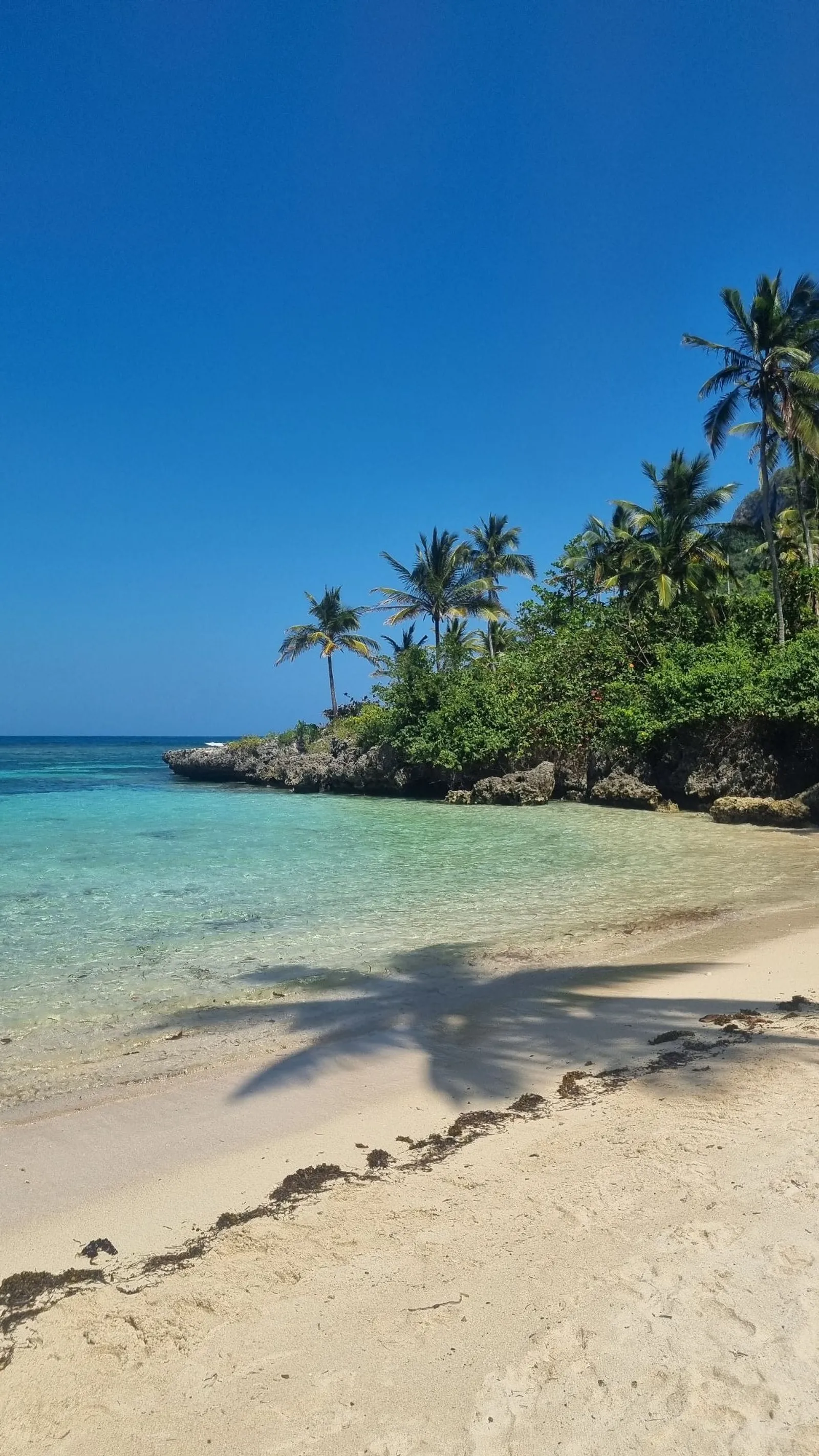 Excursión a playa Frontón, Madama y Aserradero, imagen 8 de 15