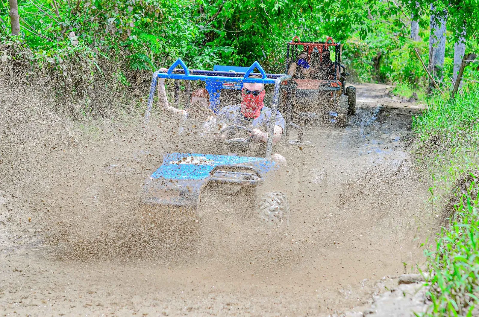 Punta Cana Buggy Tour, image 30 of 49