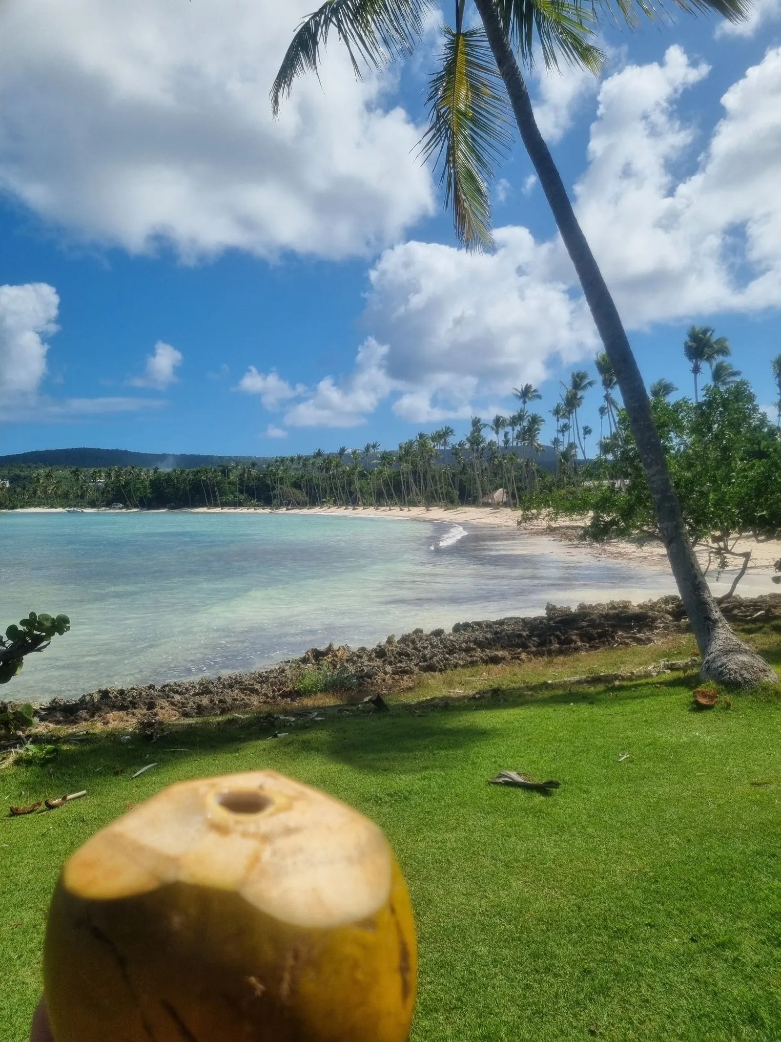 Excursión a playa Frontón, Madama y Aserradero, imagen 15 de 15