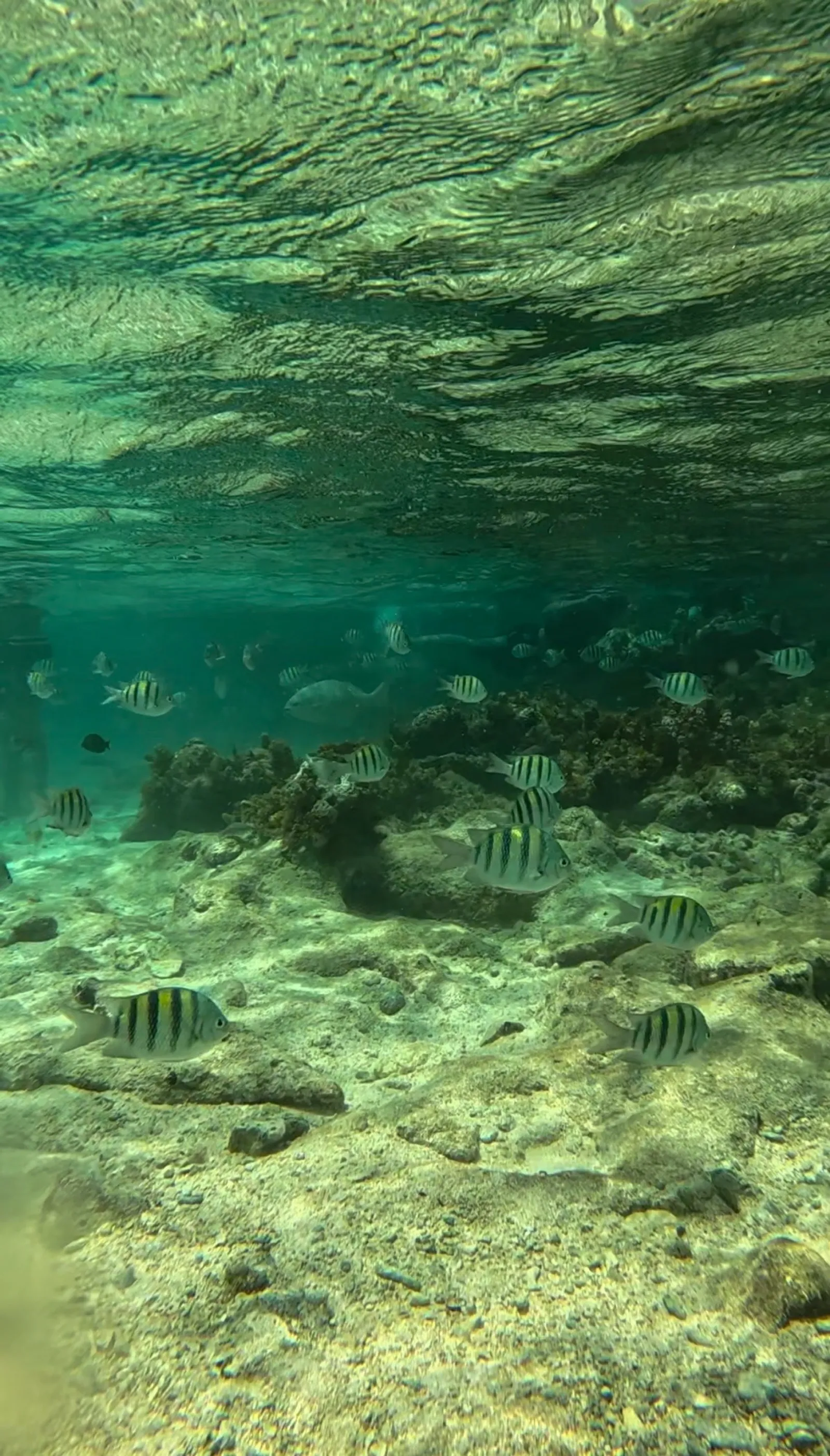 Cayo Arena with Ganga Tours, image 4 of 18