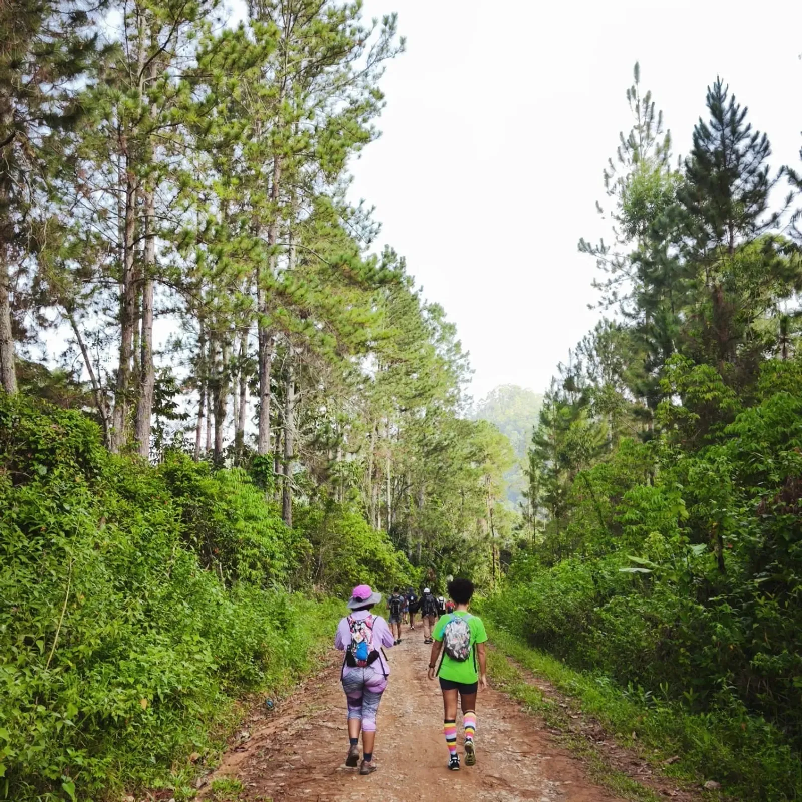 Pure Reconnection on the Yuna Crossings Route in Bonao, image 5 of 5