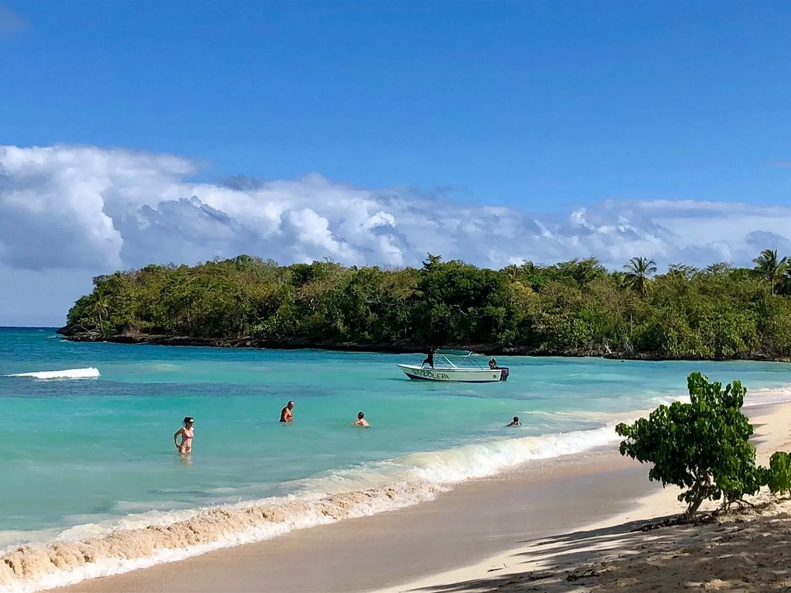 Discover 3 beaches in Samaná, image 4 of 7