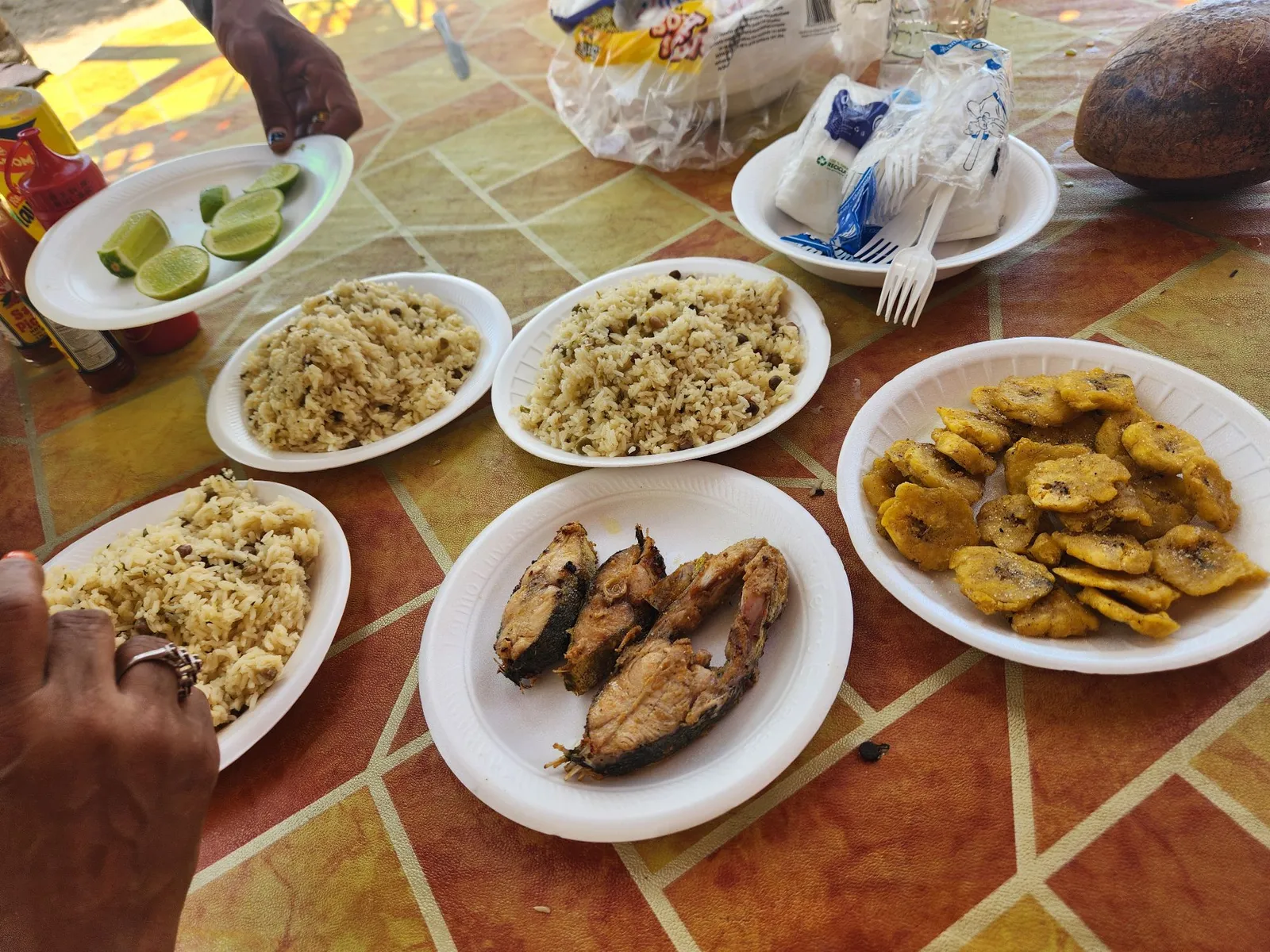 Playa Frontón in Samaná, image 12 of 14