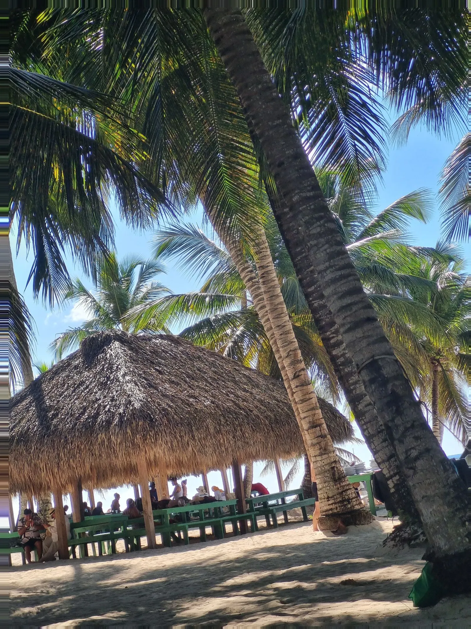Journey to Paradise: Isla Saona, image 4 of 5