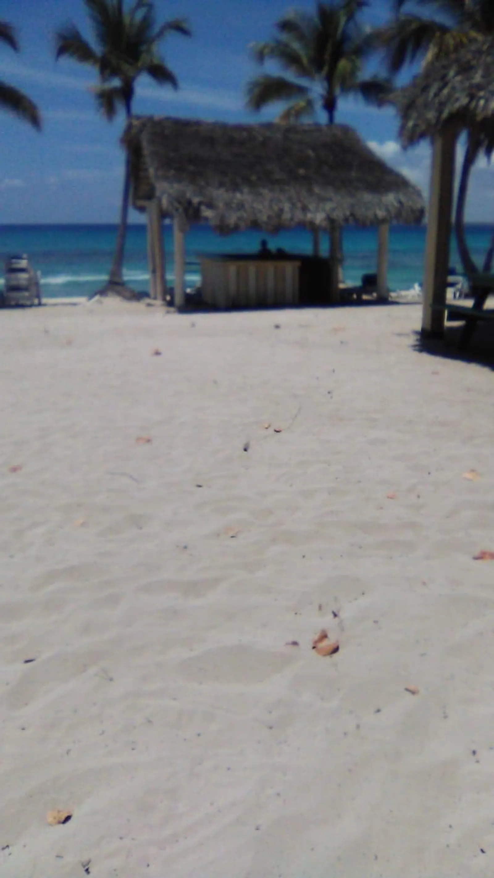 Discover Catalina Island from Bayahibe, image 11 of 16