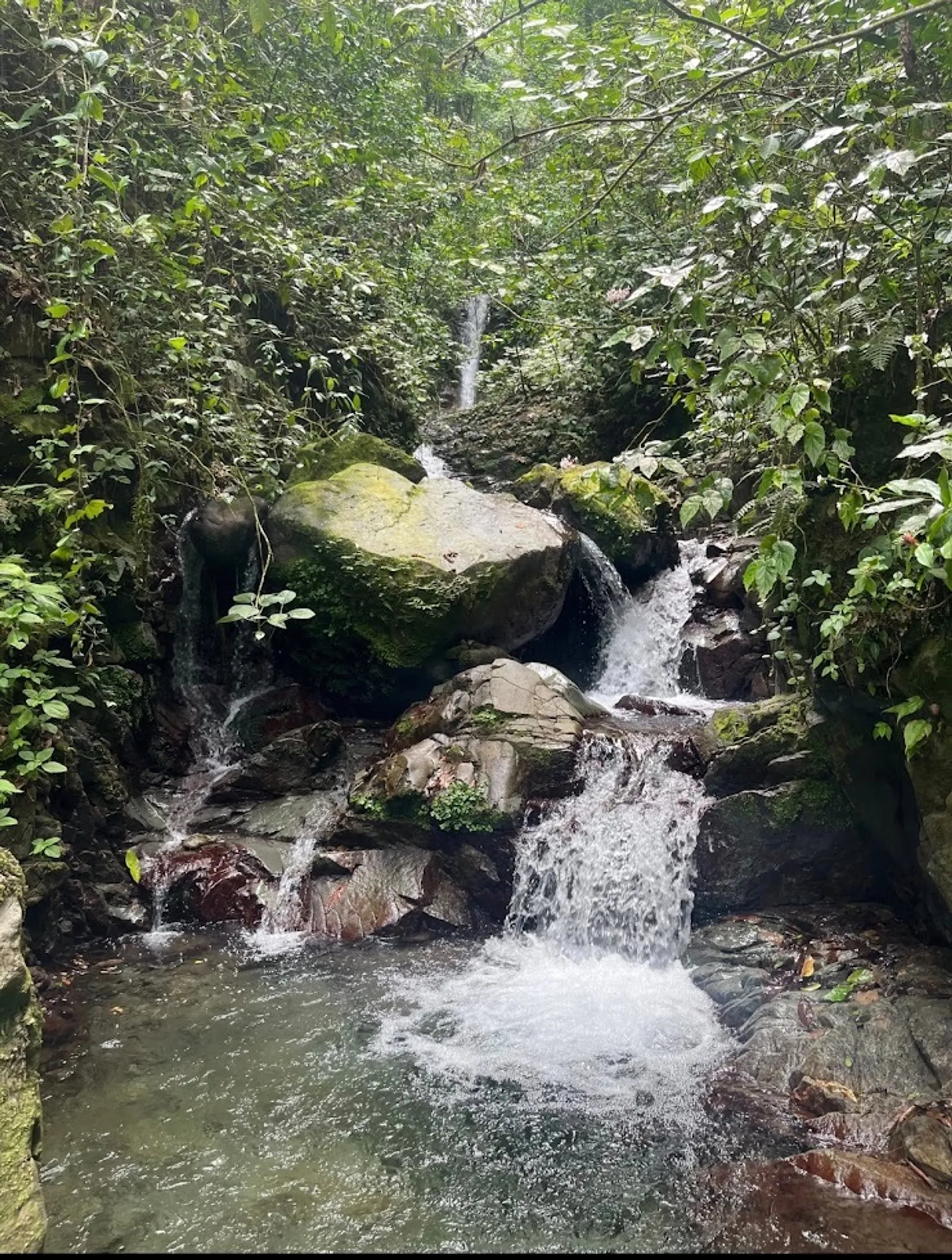 Tetero Valley Expedition: 3-Day Unplugged Wild Adventure, image 4 of 6
