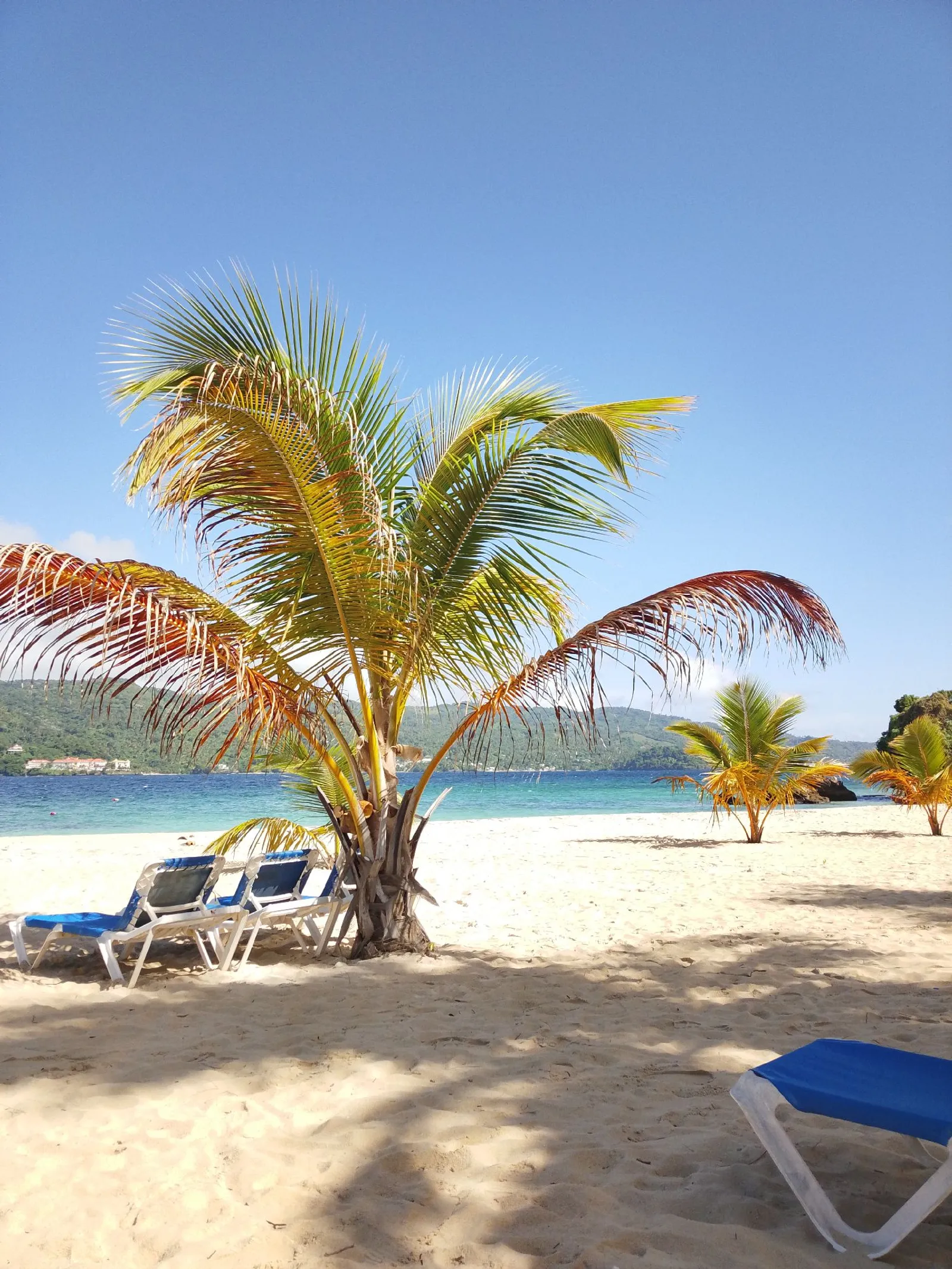 Los Haitises National Park and Cayo Levantado, image 15 of 15