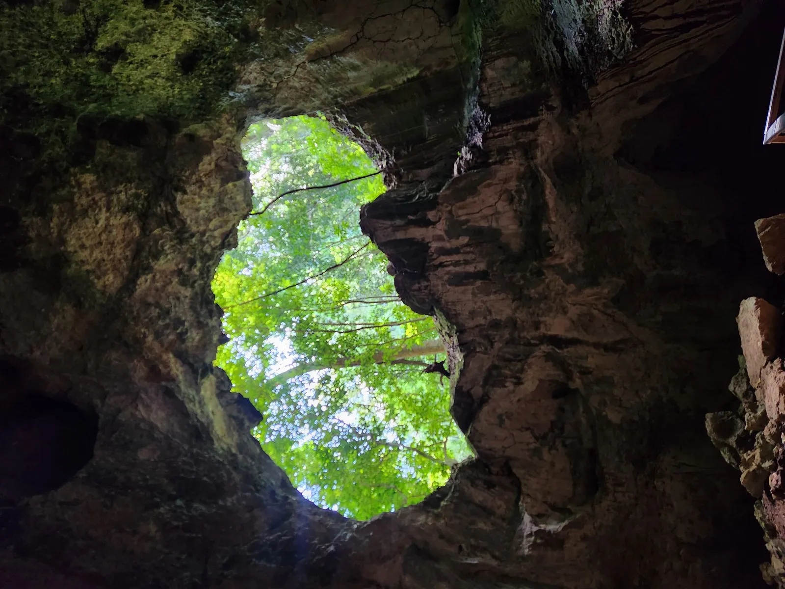Los Haitises Park and Cayo Levantado in Samaná, image 6 of 12