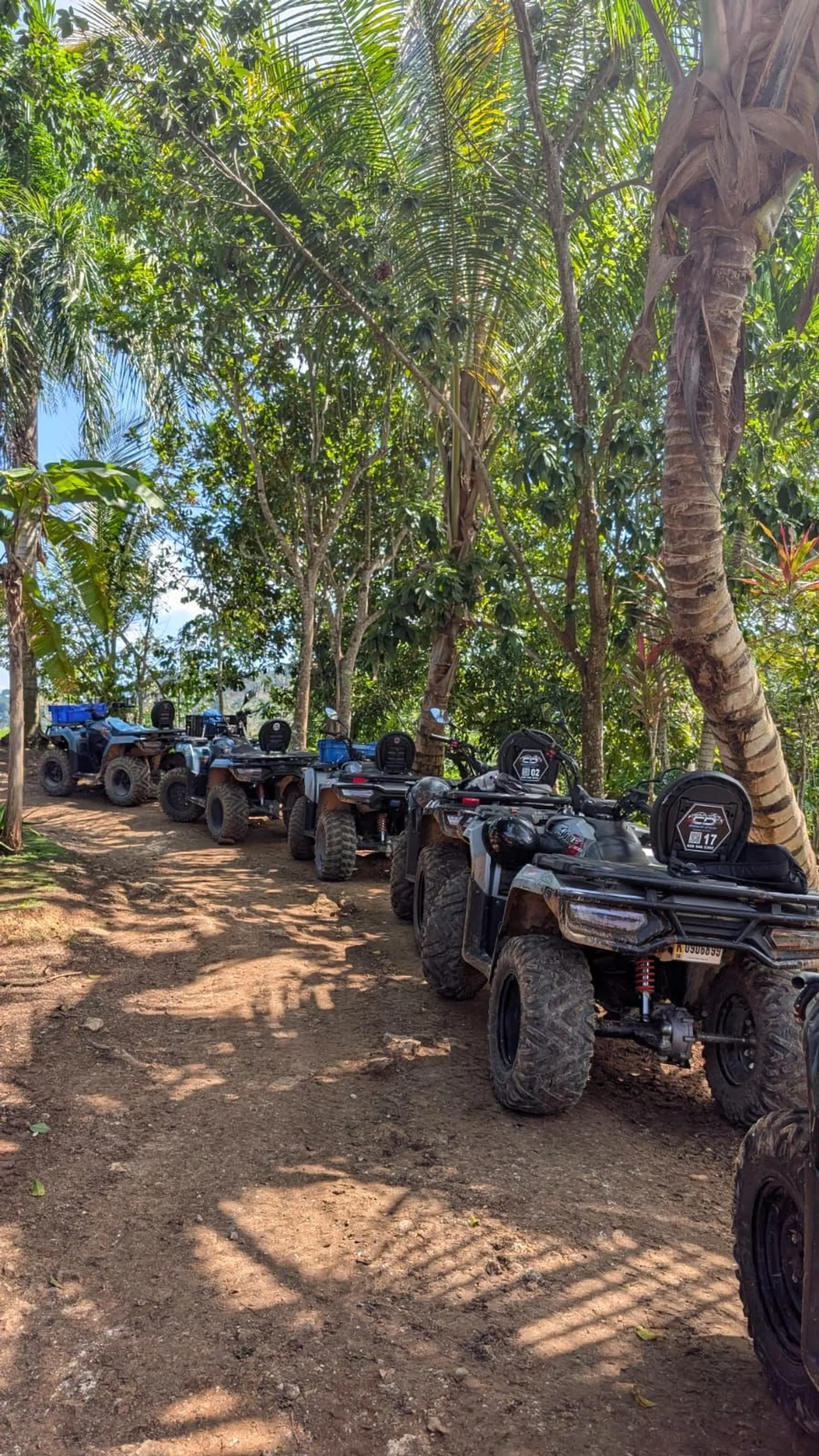aventura en 4wheels ( Las Terrenas, El Limón), imagen 5 de 5