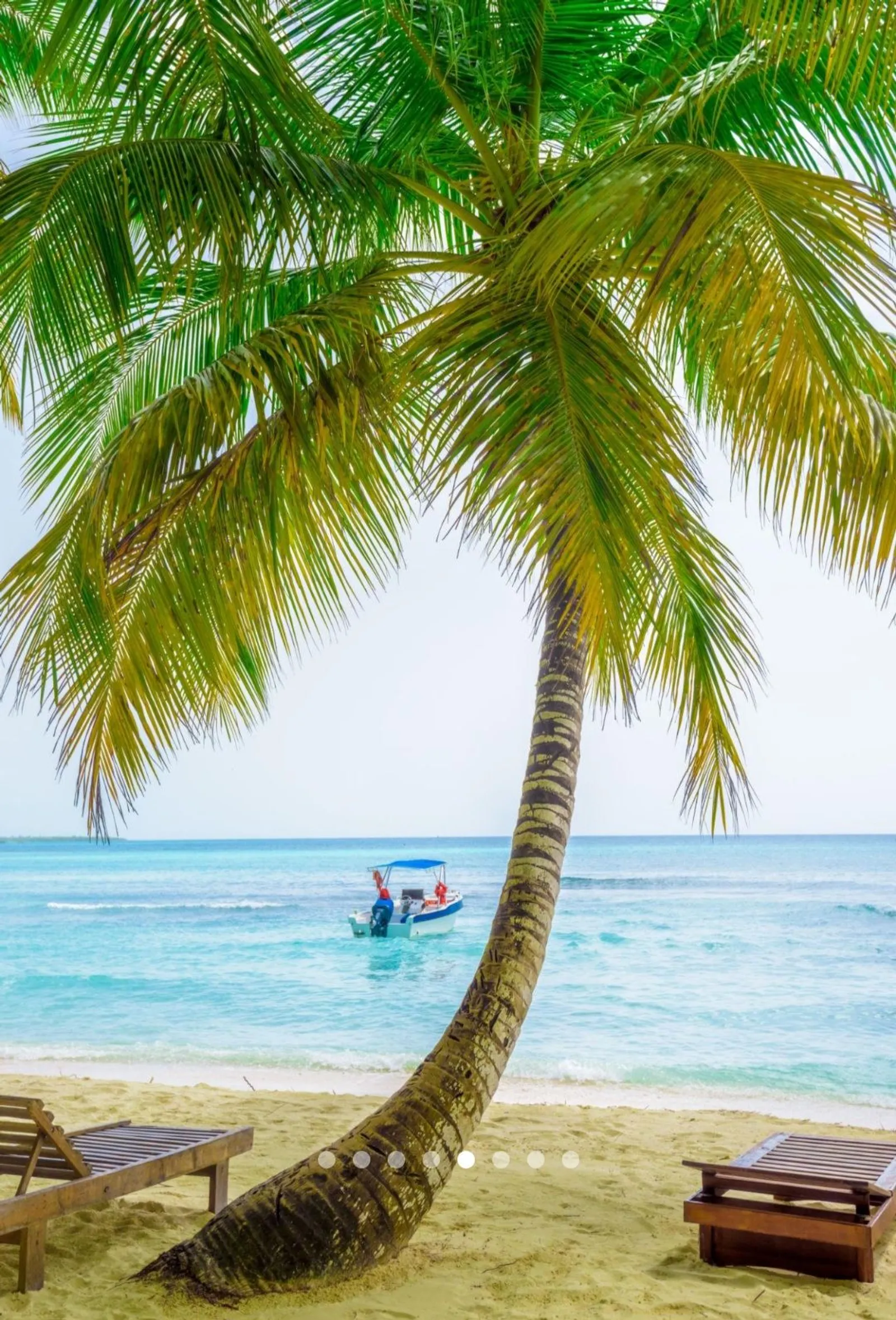 Saona Island Premium, image 7 of 14