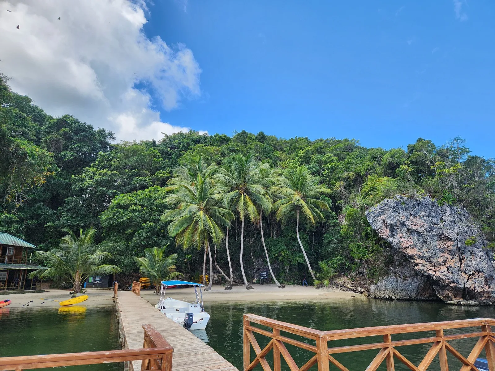 Los Haitises Park and Cayo Levantado in Samaná, image 5 of 12