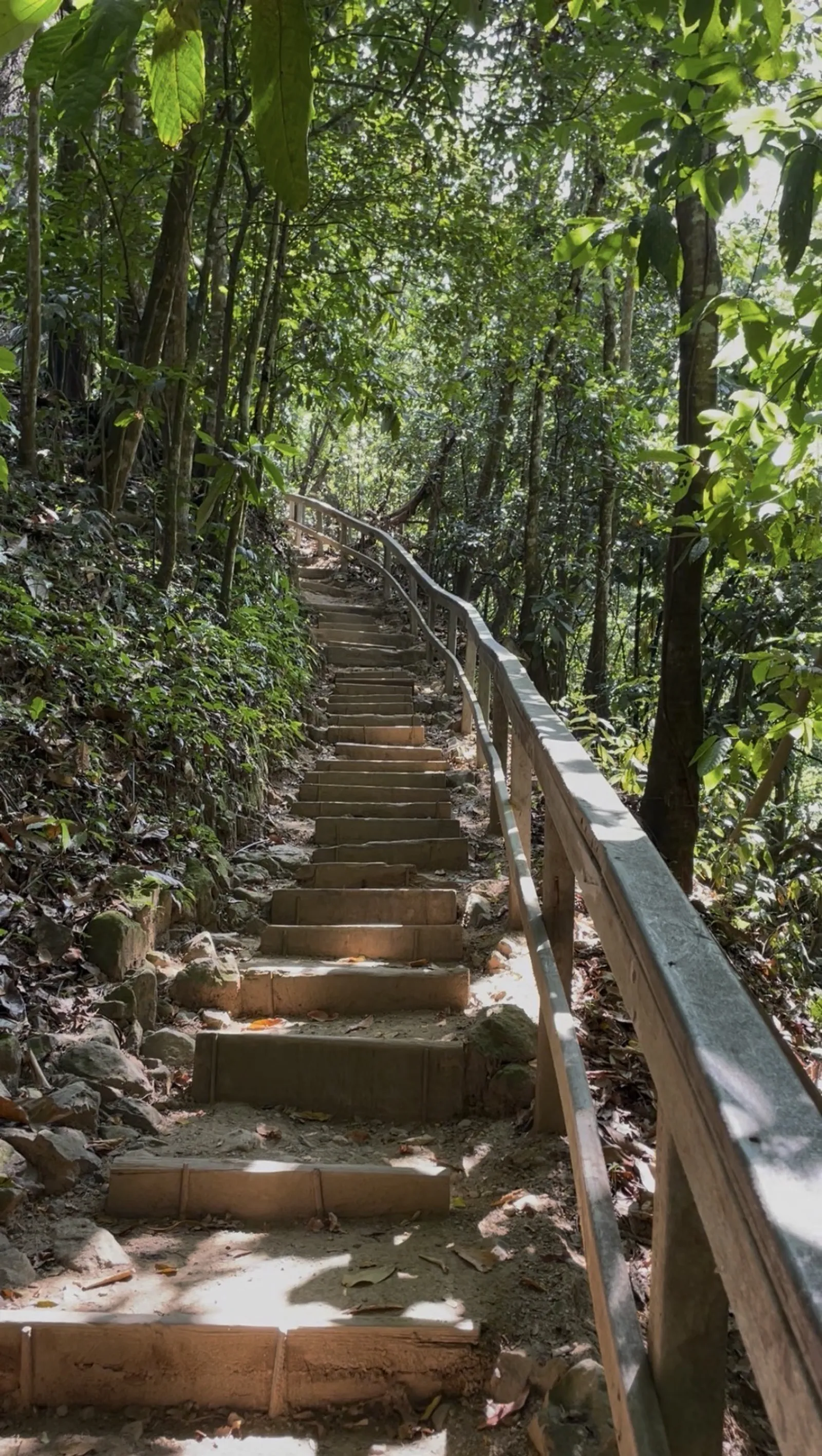 Waterfall in Bonao and Hiking, image 3 of 6