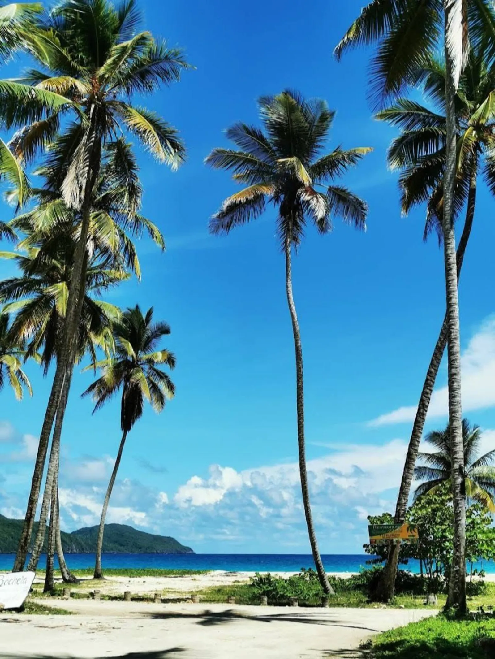 The 4 Beaches of Las Galeras, image 10 of 11