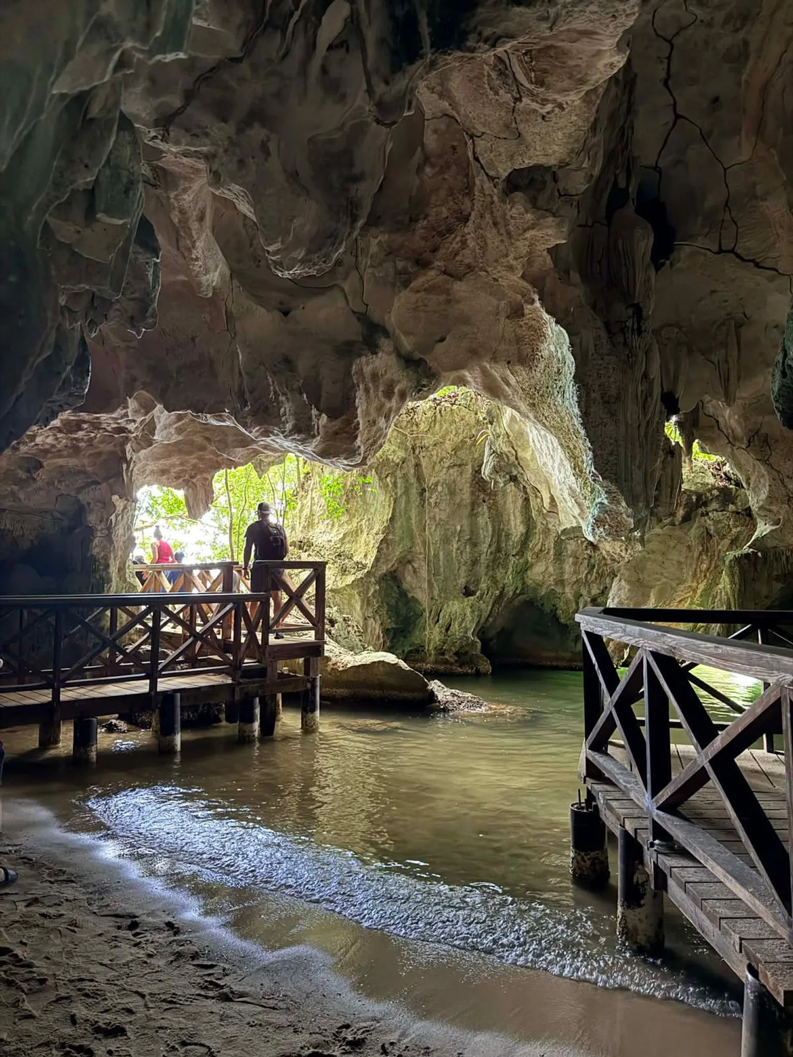Los Haitises National Park and Cayo Levantado, image 6 of 15