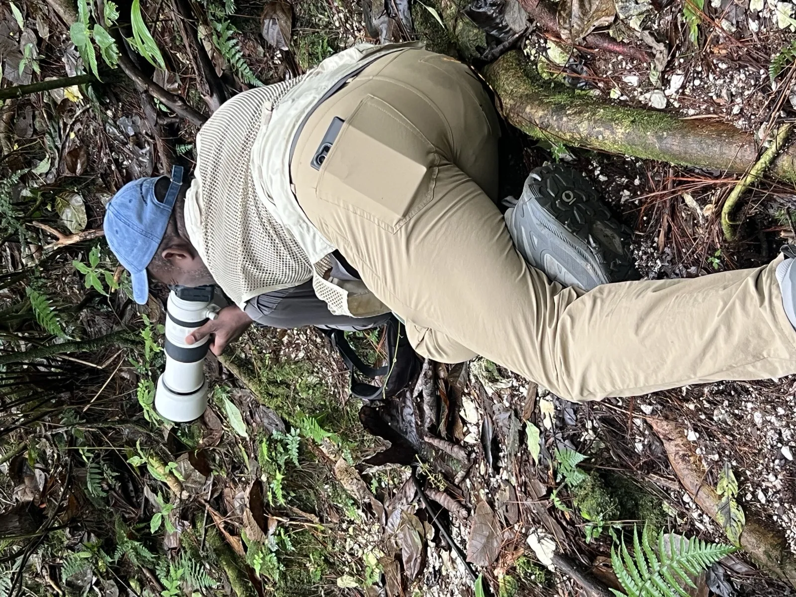 Birdwatching in the Dominican Republic: A Unique Nature Experience, image 22 of 39