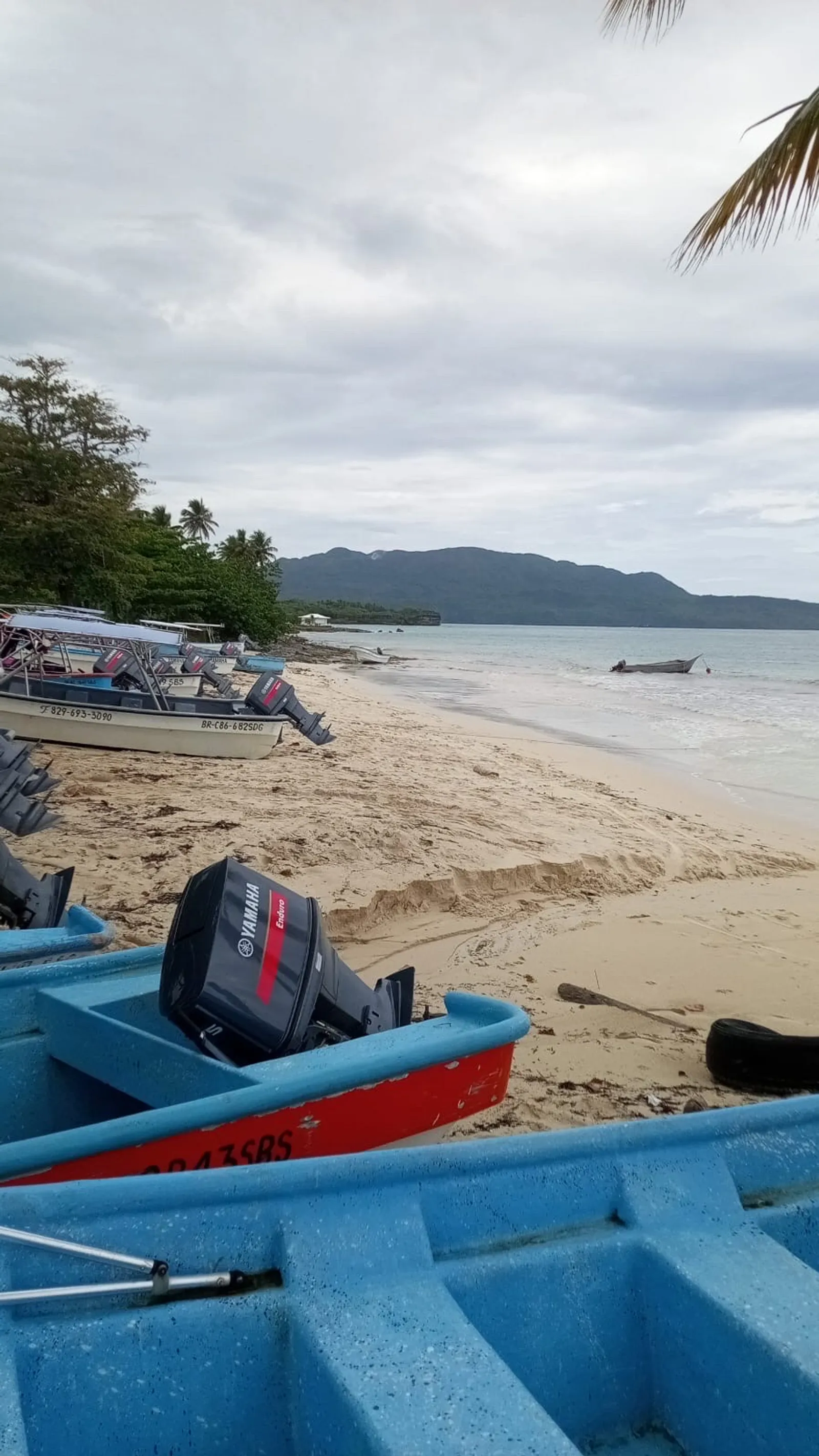 Boat Trip to Playa Frontón and Playa Madama, image 3 of 11