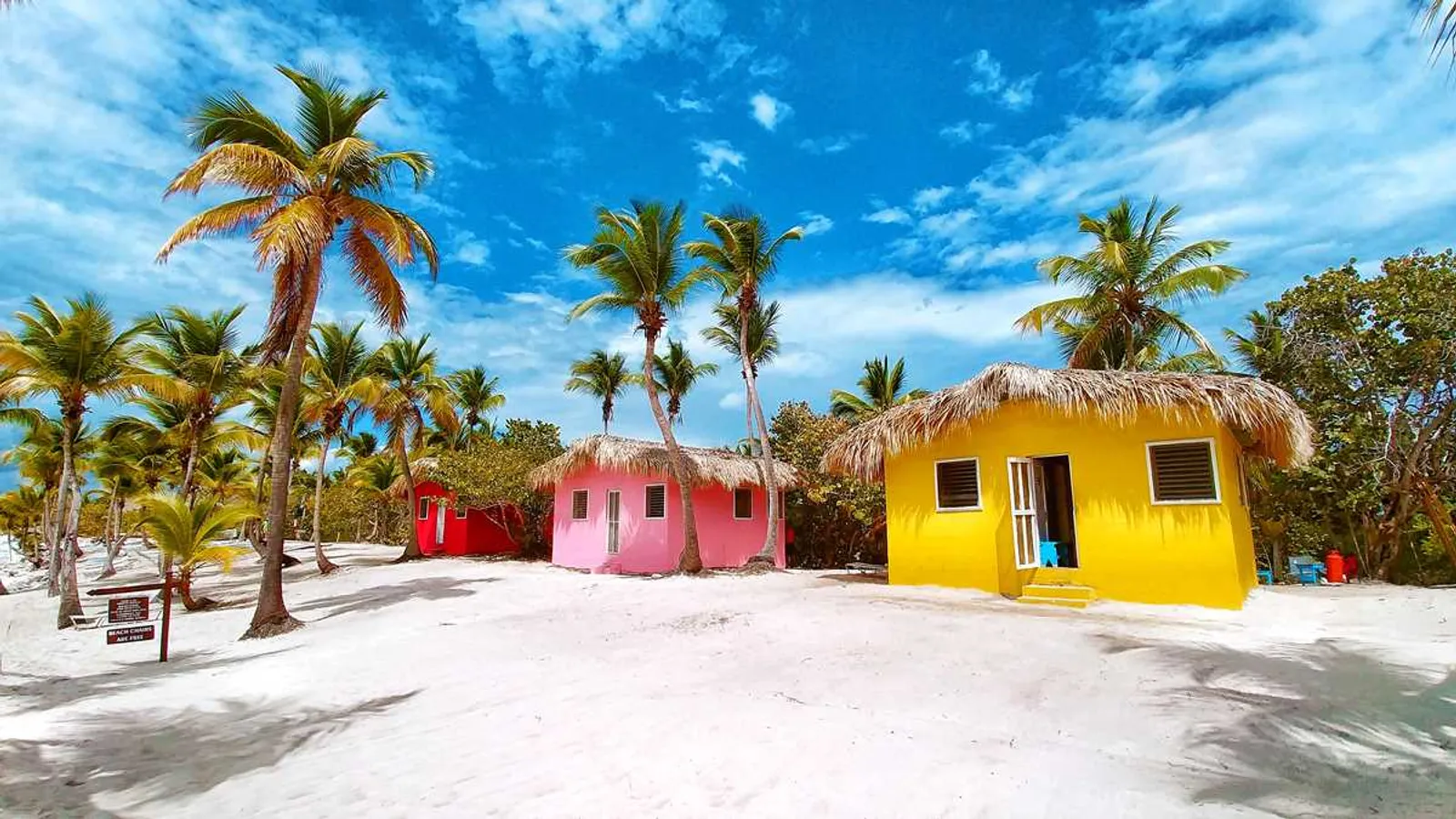 Isla Catalina, image 6 of 11