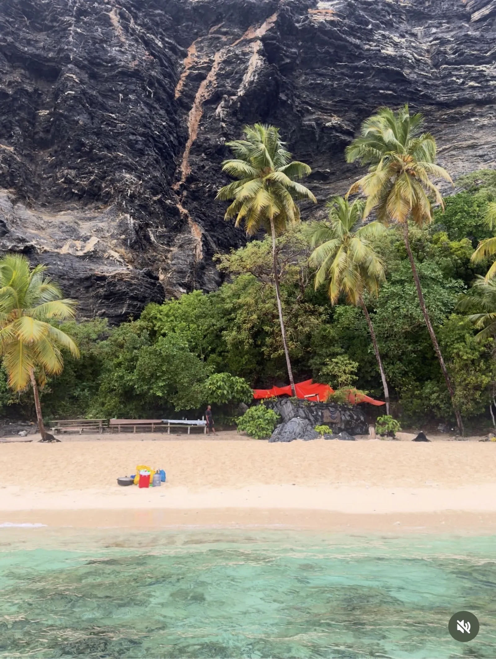Boat Trip to Playa Frontón and Playa Madama, image 8 of 11