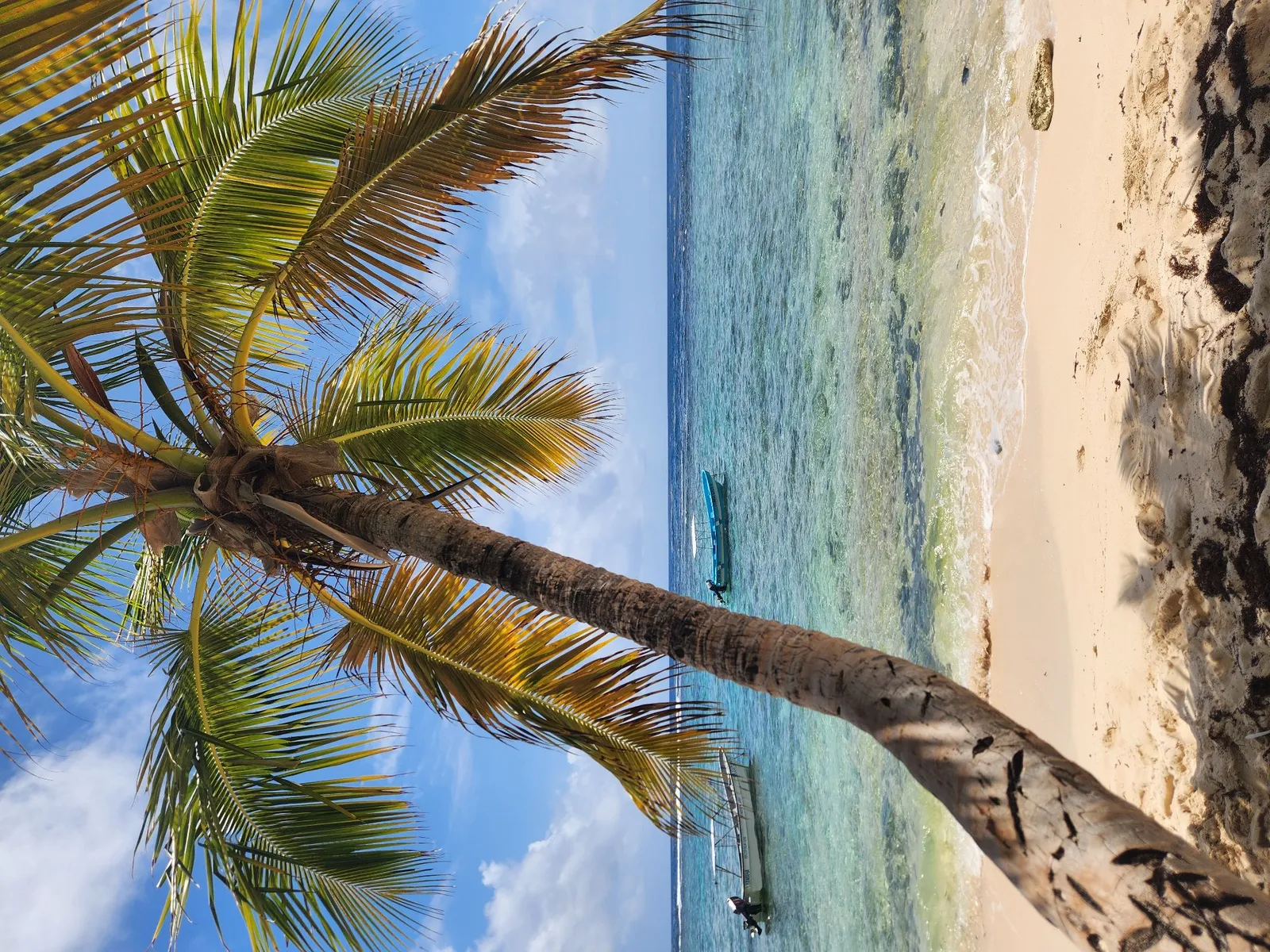Playa Frontón in Samaná, image 5 of 14