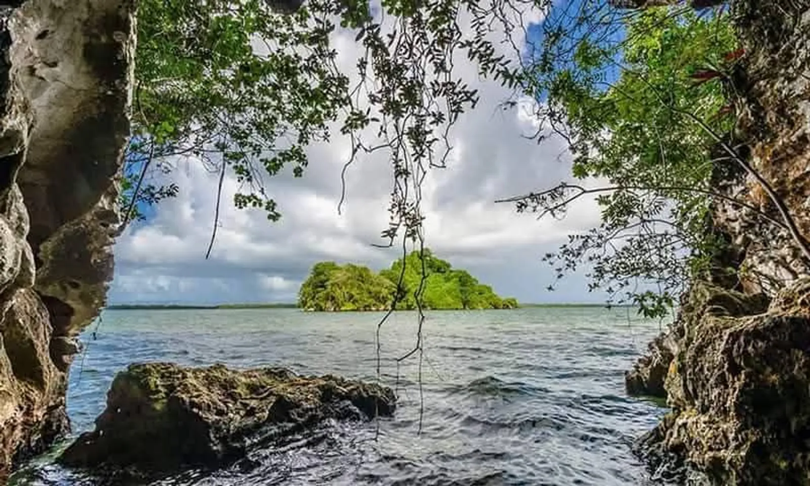 Los Haitises National Park and Cayo Levantado, image 8 of 15