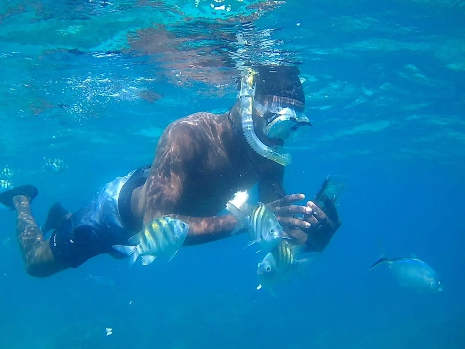 Discover Catalina Island from Bayahibe, image 5 of 16