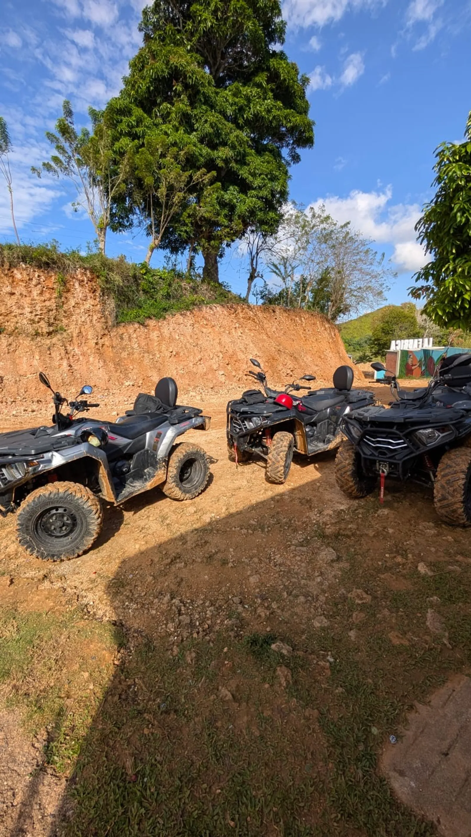 A wonderful natural coffee and cacao route, image 10 of 11