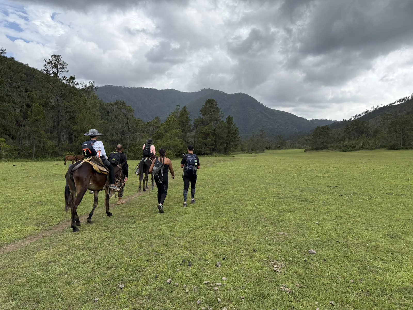 Valle del Tetero Unplugged, imagen 13 de 17