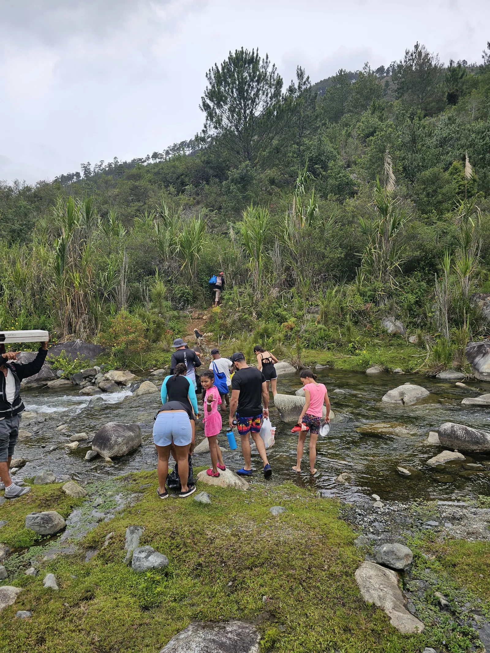 Valle del Tetero Unplugged, imagen 17 de 17