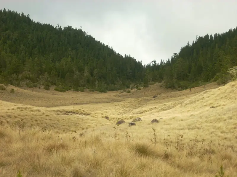 Do you already know Valle Encantado?