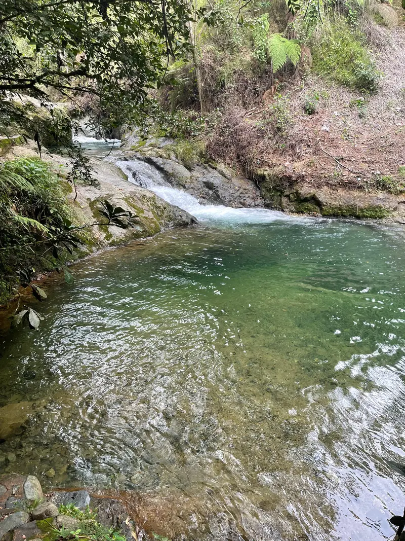 Ébano Verde Scientific Reserve