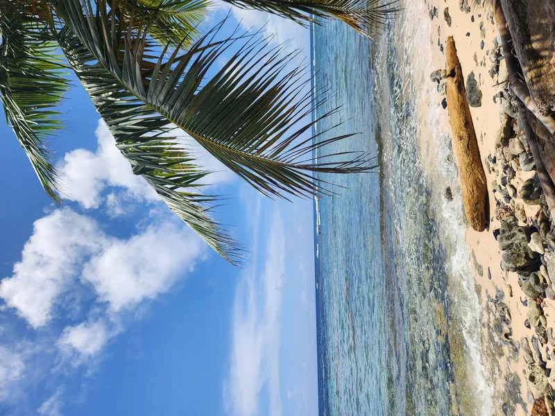 Playa Frontón en Samaná