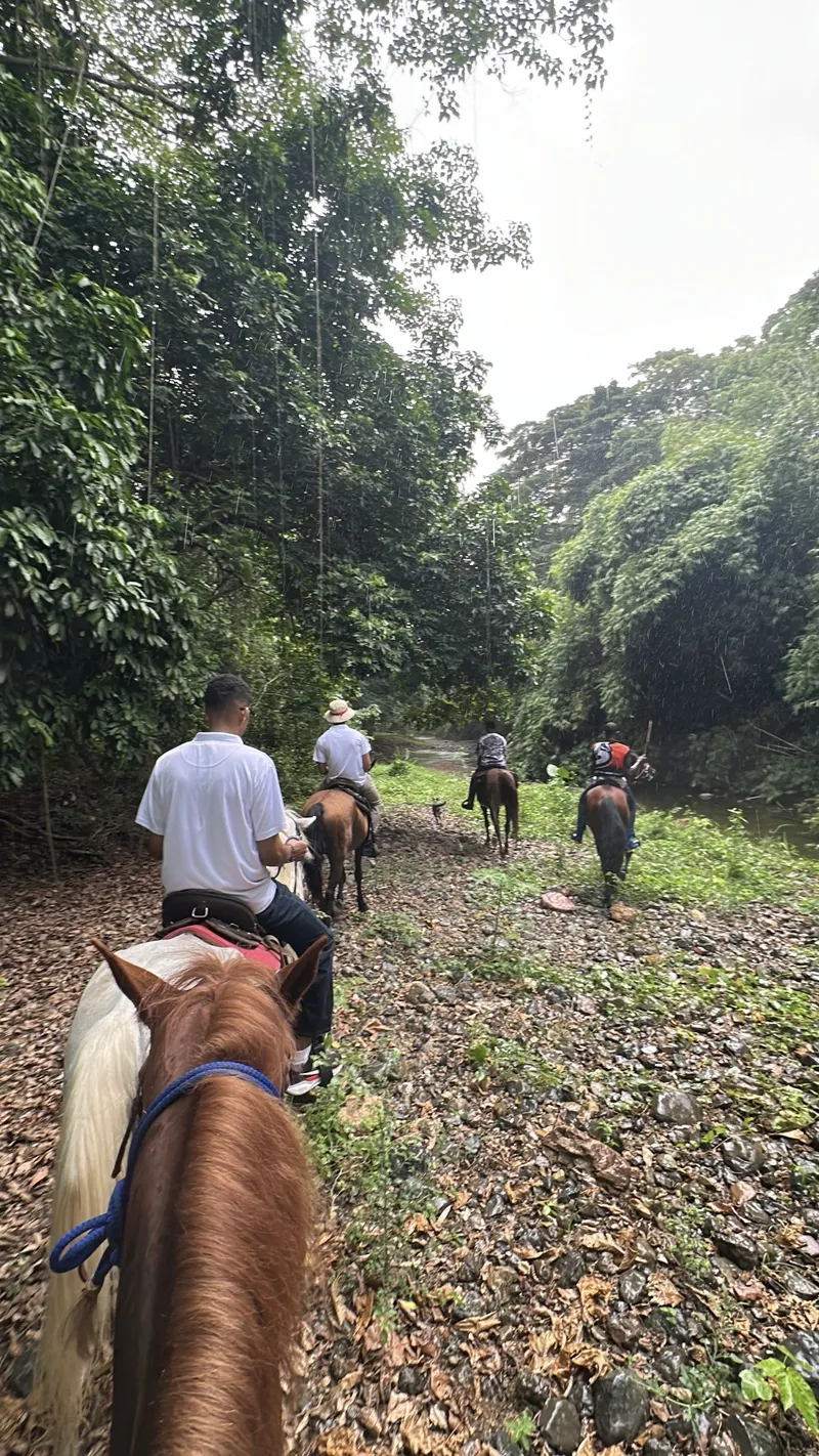 Horseback Riding Getaway in La Cuaba 🐴