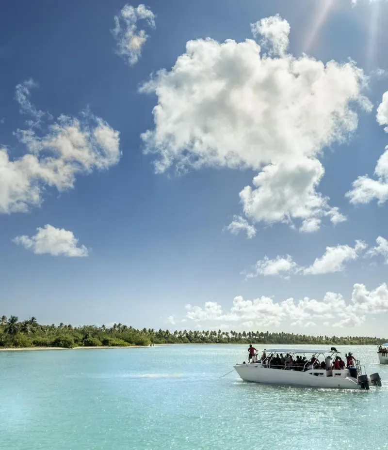 Saona Island Premium