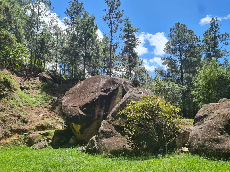 Piedras Letreadas in Constanza