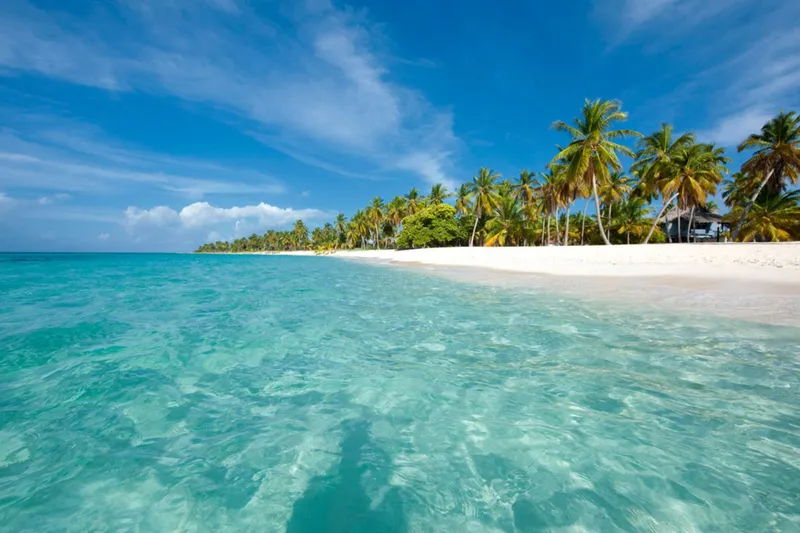 Journey to Paradise: Isla Saona