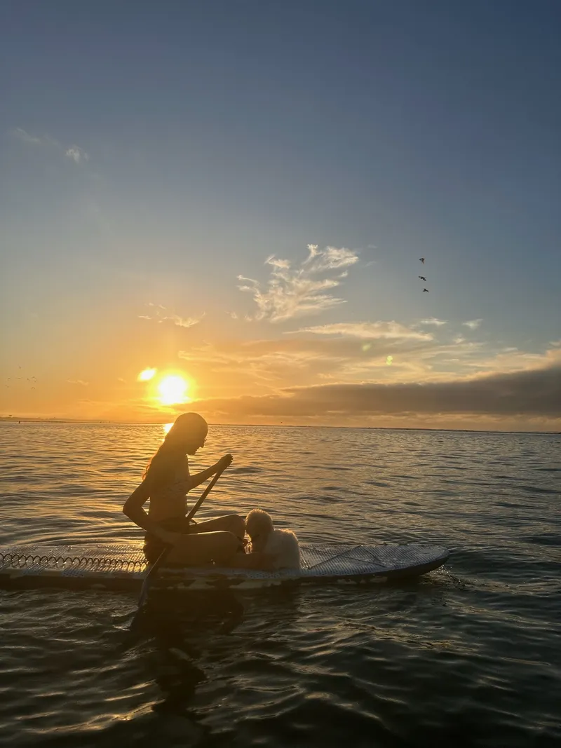 Sunrise Paddleboarding